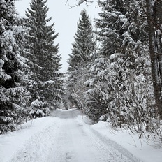 Afbeeldingslocatie: https://tweakers.net/i/73Nk4fmTdxI36wrBukENSF2I0cE=/232x232/filters:strip_icc():strip_exif()/f/image/7veL1ewW1MBDkMr9XTUeqEwz.jpg?f=fotoalbum_tile