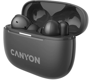 Canyon CNS-TWS10BK