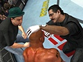 Ultimate Fighting Championship 2009: Undisputed