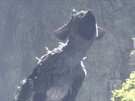 The Last Guardian
