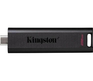 Kingston DataTraveler Max (USB type-C) 256GB Zwart