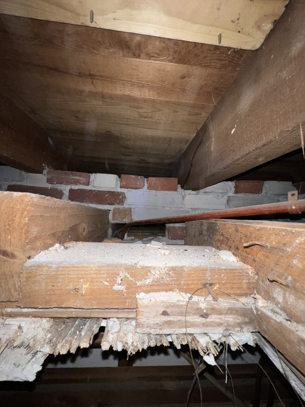 Afbeeldingslocatie: https://tweakers.net/i/7B26KdERfakucbgXV1k52ZdZVN8=/x800/filters:strip_icc():strip_exif()/f/image/aMrCUmVUbrBP25dIBjF389O5.jpg?f=fotoalbum_large