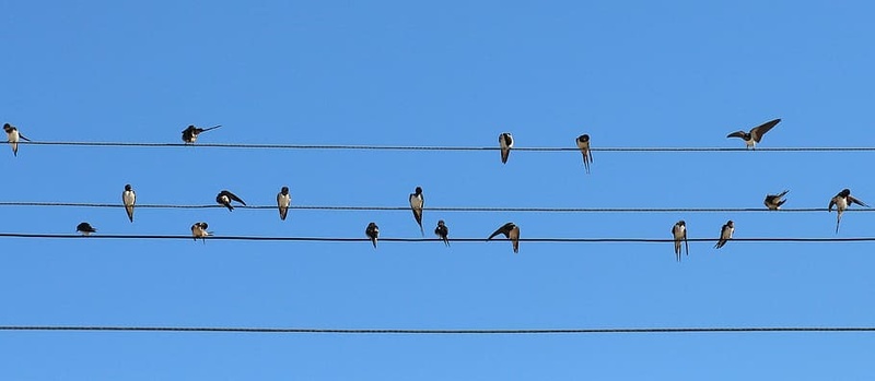 Afbeeldingslocatie: https://tweakers.net/i/7CPH2DXtQw6d2GymbyOkviDpLCM=/800x/filters:strip_icc():strip_exif()/f/image/MyrM9jzNz25Ca79QCf7bzL9v.jpg?f=fotoalbum_large