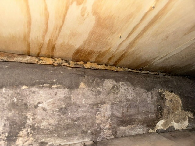 Afbeeldingslocatie: https://tweakers.net/i/7CxUdC2ZxlDel5E1ZhxknL7hbpU=/fit-in/4920x3264/filters:max_bytes(3145728):no_upscale():strip_icc():strip_exif()/f/image/hvIcsUTRKumaN7K7846EgaTV.jpg?f=user_large