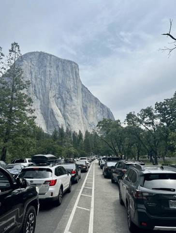 Afbeeldingslocatie: https://tweakers.net/i/7DL04aZtaMheqVPfN9Zz1Wr-G_I=/fit-in/4000x4000/filters:no_upscale():strip_exif()/f/image/PKsjOKErK66Dcus7zl96tKch.png?f=user_large