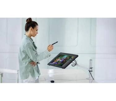 Huion Kamvas RDS-220 - Grafische Tekentablet - Pen Display - 2,5K
