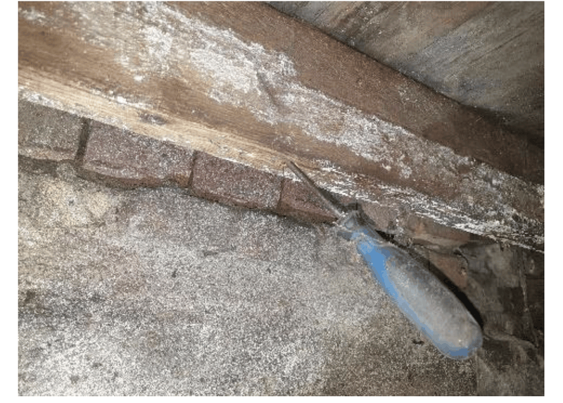 Afbeeldingslocatie: https://tweakers.net/i/7ENn9jS5T5usrzqKrYHl9MHMXqg=/800x/filters:strip_exif()/f/image/ZbROoCq3mZrh569pMQ1MOlfU.png?f=fotoalbum_large