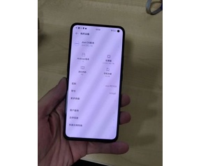 Vivo X30