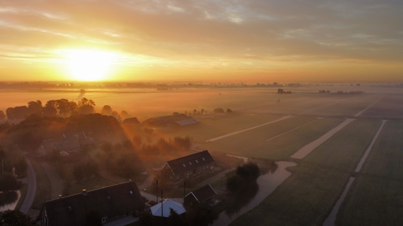 Afbeeldingslocatie: https://tweakers.net/i/7GByR78Y5CMFCf0YJI35psf_SvI=/800x/filters:strip_icc():strip_exif()/f/image/6Sb48jNvgoX43nbZoT7qnHS9.jpg?f=fotoalbum_large