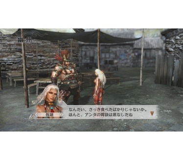 Dynasty Warriors 7