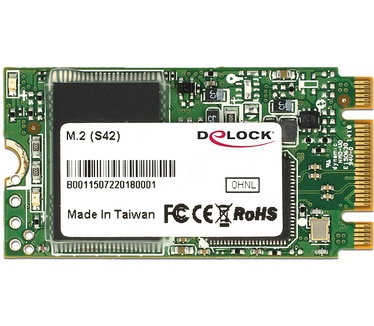 Delock M.2 NGFF (42mm) SATA 6 Gb/s SSD (-40°C ~ +85°C) 16GB