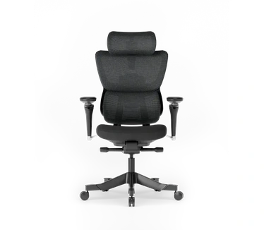 FlexiSpot Ergonomische bureaustoel C7 Max, geen voetensteun, Zwart frame