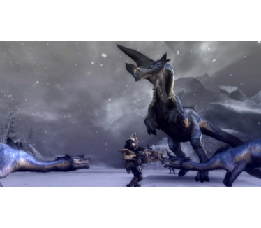 Monster Hunter Tri