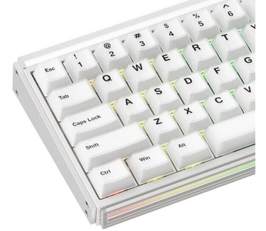 Akko Ray68 HE Wit 65% AstroAim Magnetische Switch 8K Hz Hall Effect Hotswap ARGB Draadloze Gaming Toetsenbord