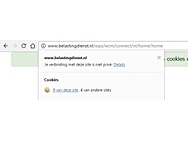 Belastingdienst geen https