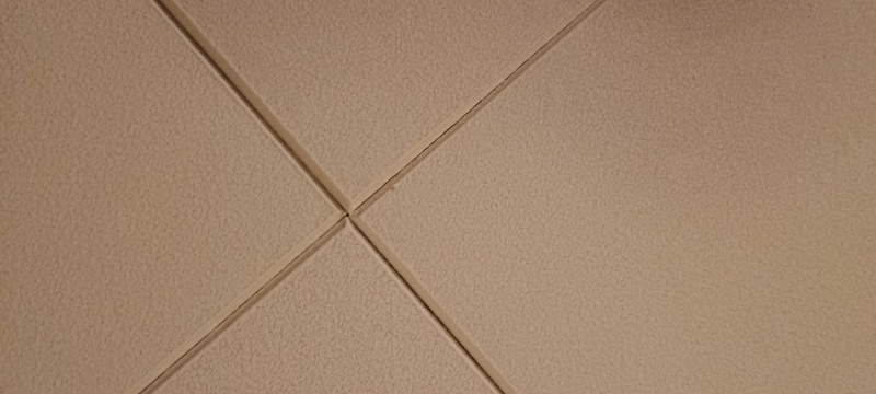 Afbeeldingslocatie: https://tweakers.net/i/7TdPsR8300sZRCzfacn8hBdj5Yg=/800x/filters:strip_icc():strip_exif()/f/image/6zQ6SsDBtEWPkmzA3PBVDQyN.jpg?f=fotoalbum_large