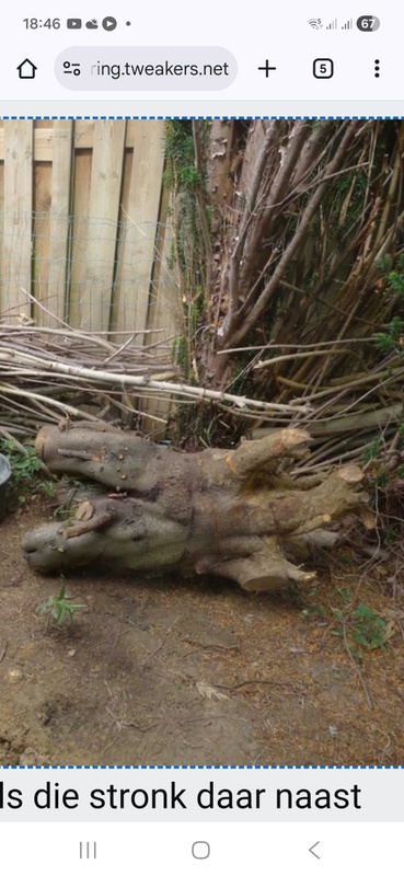 Afbeeldingslocatie: https://tweakers.net/i/7UU9en3ykOSBUF5NNZU6CwkHNNE=/x800/filters:strip_icc():strip_exif()/f/image/WTiQy3gcc6xi4h9r0rTrHreH.jpg?f=fotoalbum_large