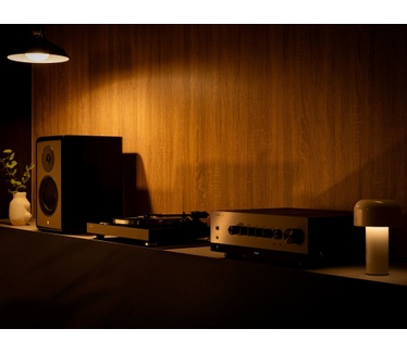 Yamaha TT-S303