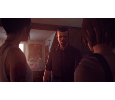 Life is Strange (Limited Edition), Windows