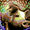 avatar van WVL_KsZeN