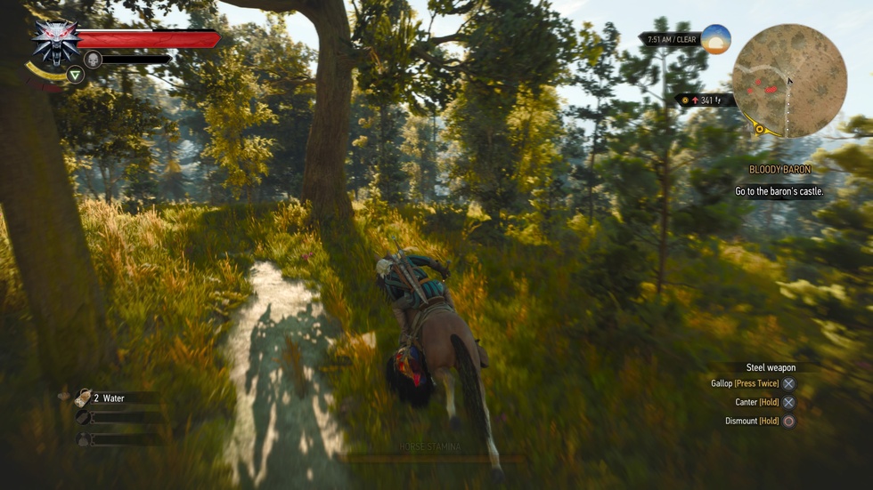 The Witcher 3 Wild Hunt Remastered - PS5