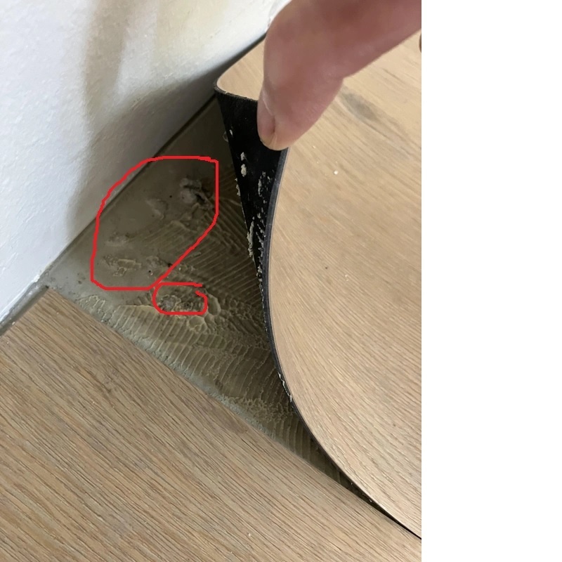 Afbeeldingslocatie: https://tweakers.net/i/7cBJIaSwdB3NpPtOwaTaMHELgdE=/full-fit-in/4920x3264/filters:max_bytes(3145728):no_upscale():strip_icc():fill(white):strip_exif()/f/image/XLezeG9pyKUVeLK8lY5oYt5K.jpg?f=user_large