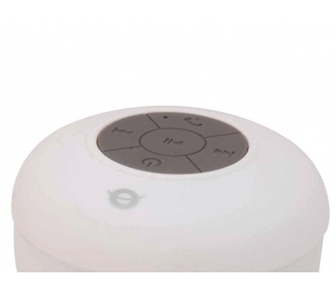 Conceptronic Draadloze waterbestendige zuignapluidspreker