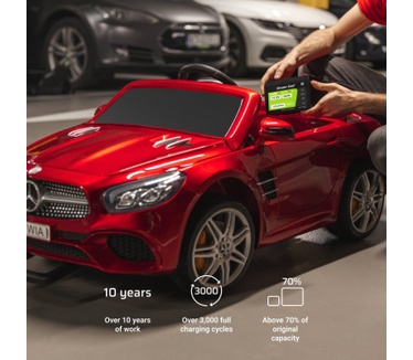 Green Cell LFPGC12V10AH