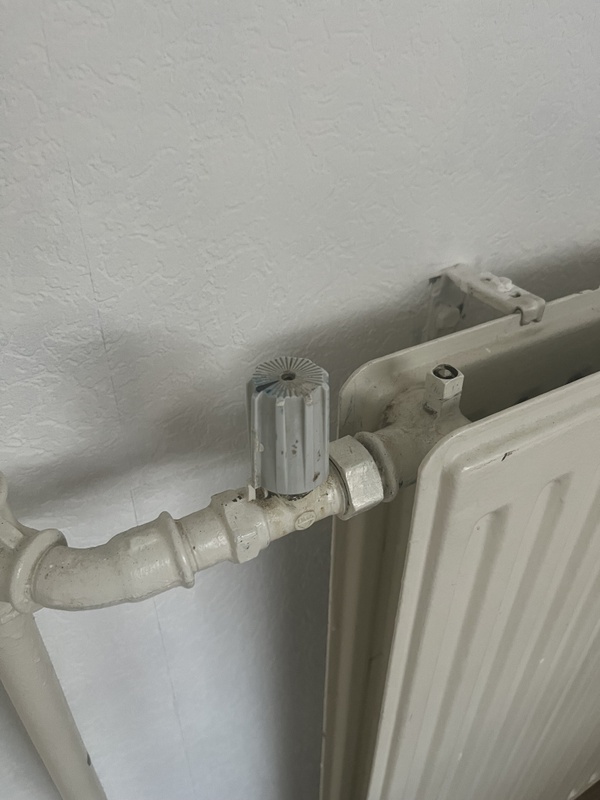 Afbeeldingslocatie: https://tweakers.net/i/7kf6VGvykKYrAQM_3qHaQ7dZDc0=/x800/filters:strip_icc():strip_exif()/f/image/SybWAk5TT4VQ390j6oE0WnKi.jpg?f=fotoalbum_large