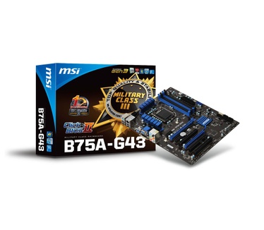 MSI MSI B75A-G43