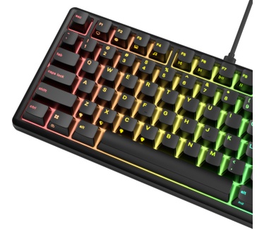 Glorious Glorious GMBK 75% customizable RGB-toetsenbord
