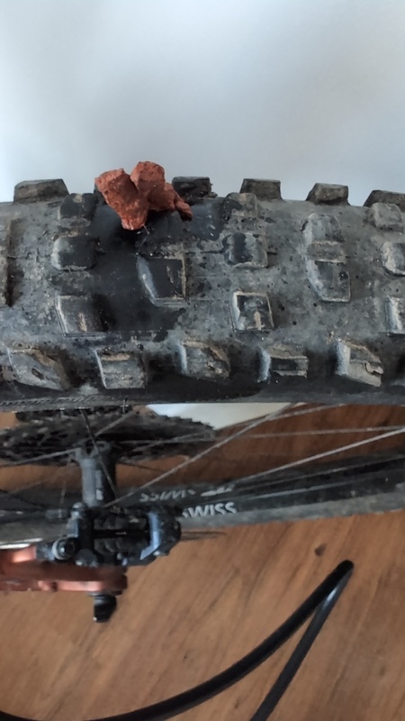 Afbeeldingslocatie: https://tweakers.net/i/7puFZD1HX1F_osSFmIVgfp0F7zM=/x800/filters:strip_icc():strip_exif()/f/image/T6JF1DSNeSJbypdglQ6P0suZ.jpg?f=fotoalbum_large