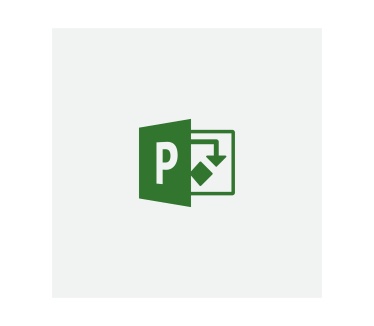 Microsoft Project Standard 2019
