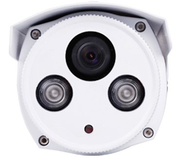 Foscam FI9903P Outdoor Full-HD IP Camera
