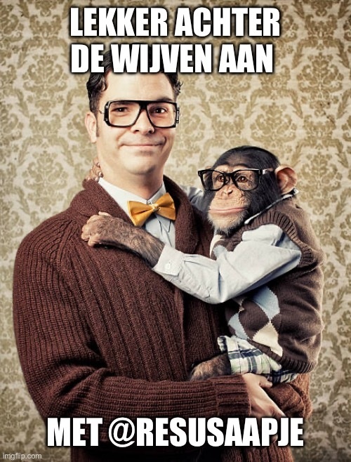Afbeeldingslocatie: https://tweakers.net/i/7udpwKpGQx3kZXp1csLljL0qRoQ=/full-fit-in/4920x3264/filters:max_bytes(3145728):no_upscale():strip_icc():fill(white):strip_exif()/f/image/krZf6RSiNtJTOmunH3uFuYXl.jpg?f=user_large
