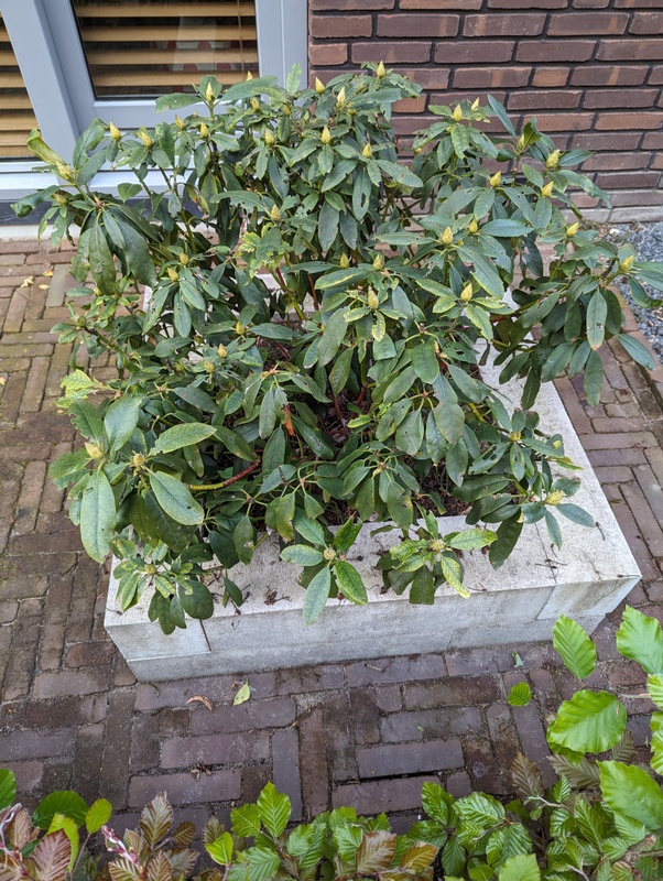 Afbeeldingslocatie: https://tweakers.net/i/7vO2_MrLeh6jKmeRKt6ll-zCREQ=/x800/filters:strip_icc():strip_exif()/f/image/DvMGRfC2Re7vBaqvuHT9nTIU.jpg?f=fotoalbum_large