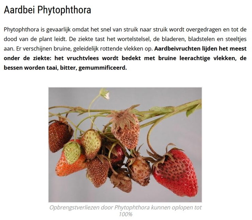 Afbeeldingslocatie: https://tweakers.net/i/7voUu5pN5WXBcSanlHEW9kIRZQo=/full-fit-in/4920x3264/filters:max_bytes(3145728):no_upscale():strip_icc():fill(white):strip_exif()/f/image/29NKt4mJRhP5nmyWCvOQ12Fb.jpg?f=user_large