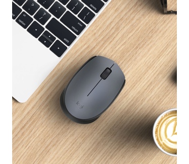 Logitech M170