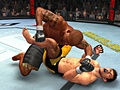 Ultimate Fighting Championship 2009: Undisputed