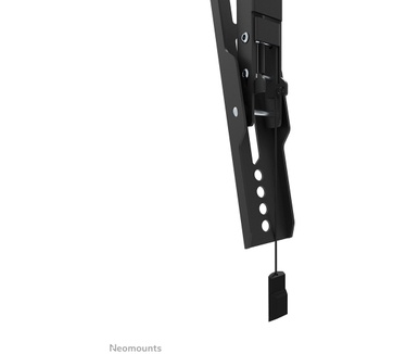 Neomounts by Newstar Neomounts by Newstar tv wandsteun