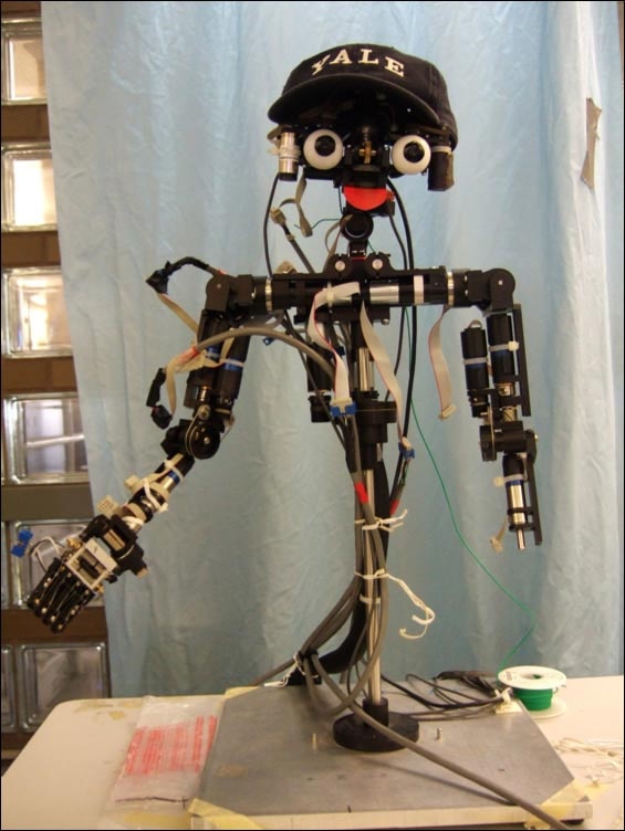 Zelfbewuste humanoid robot Nico