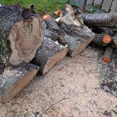 Afbeeldingslocatie: https://tweakers.net/i/81303zQ_aMKPyL9E-EMDIlcDASI=/232x232/filters:strip_icc():strip_exif()/f/image/QGW9BMvcEFXJJduk3CaspS86.jpg?f=fotoalbum_tile