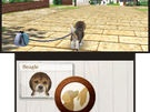 Nintendogs Cats