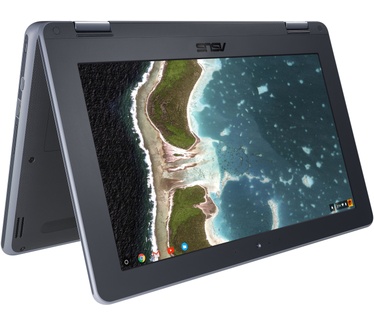 Asus C213NA-BU0058-BR