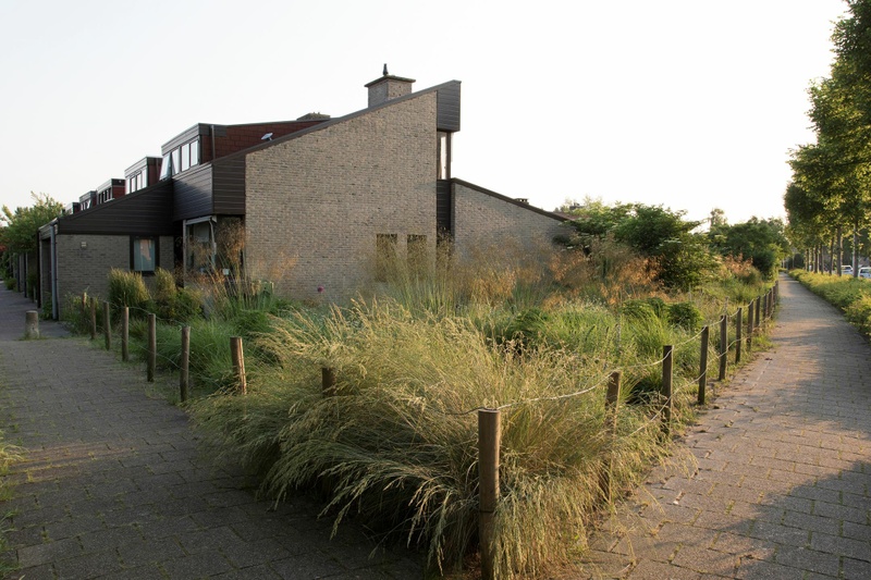 Afbeeldingslocatie: https://tweakers.net/i/82vsqoeFlLpHulldAuc8TjqlRck=/800x/filters:strip_icc():strip_exif()/f/image/YllG23lzhKTwfCK8okaIvQIg.jpg?f=fotoalbum_large