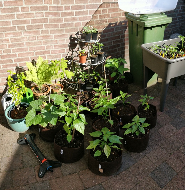 Afbeeldingslocatie: https://tweakers.net/i/89giUZD7iTM3iTLSddWY35ei3Ss=/x800/filters:strip_icc():strip_exif()/f/image/V1yc5Ob9WtzqvPyDkMPCb9JP.jpg?f=fotoalbum_large