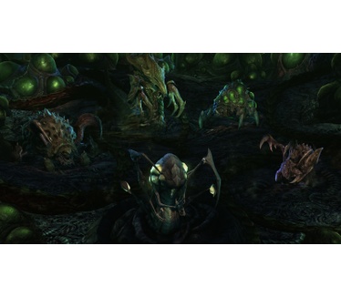 Starcraft 2: Legacy of the Void Collectors Edition, PC (Windows)