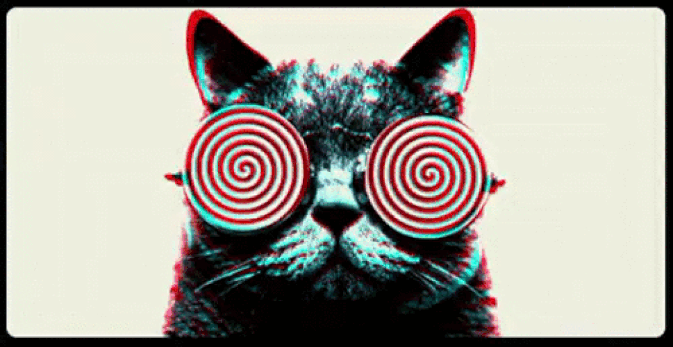 Afbeeldingslocatie: https://tweakers.net/i/8AZVasEj8p0oTu-fx3QMvqgaXe0=/full-fit-in/4000x4000/filters:no_upscale():fill(white):gifsicle():strip_exif()/f/image/oOueYjNqpVkrKb771hXBTCT3.gif?f=user_large