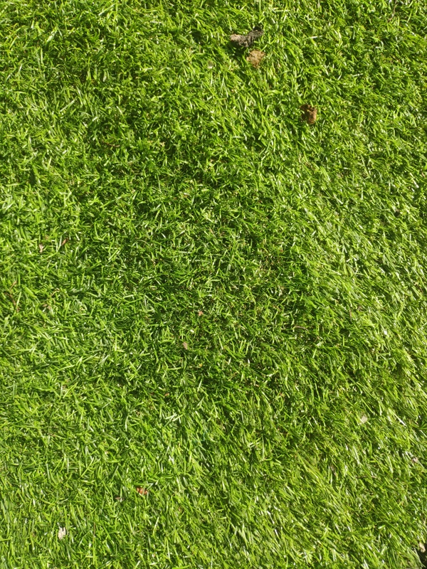 Afbeeldingslocatie: https://tweakers.net/i/8DgkHa5VrE5Mhhtd4dJmEsbKayI=/x800/filters:strip_icc():strip_exif()/f/image/ghUo8M0TXWnfJCsjFgWixauO.jpg?f=fotoalbum_large