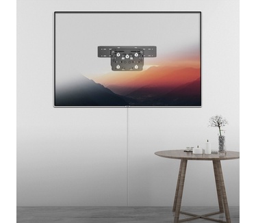 Value 17.99.1169